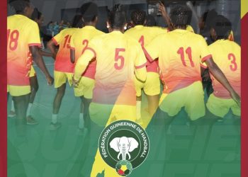 Mondial U20: Le Syli Handball invité à un stage en République Tchèque