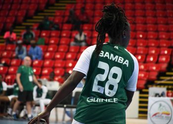 Amical : le Syli Handball domine les Diables Rouges du Congo